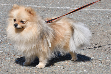 Similar image 21034195