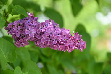 Similar image 21034278