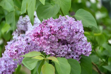 Similar image 21034279