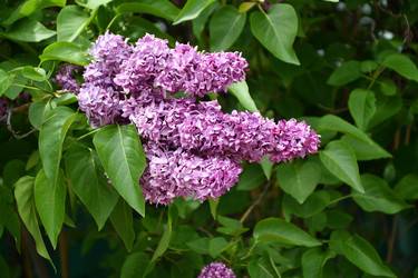 Similar image 21034281