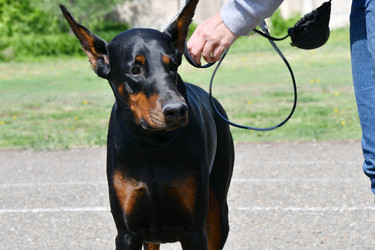 Similar image 21034197