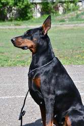 Similar image 21034284