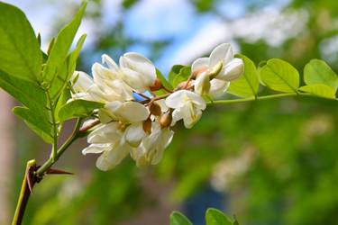 Similar image 21034286