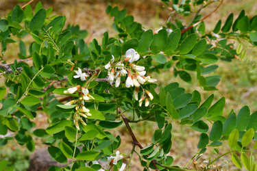 Similar image 21034287