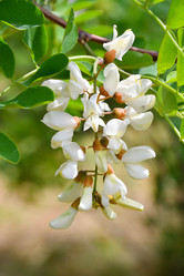 Similar image 21034288