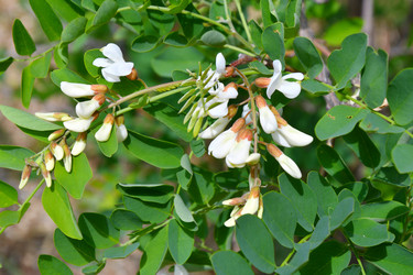 Similar image 21034290