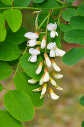 Similar image 21034291