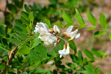 Similar image 21034293