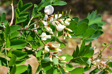 Similar image 21034294