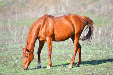 Similar image 21034304