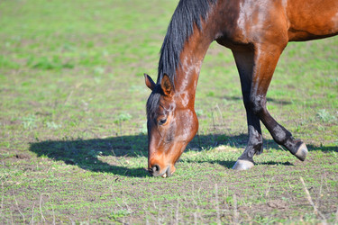 Similar image 21034305