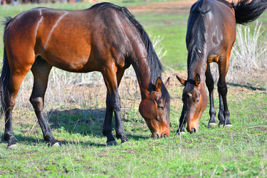 Similar image 21034306