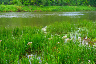 Similar image 21034307