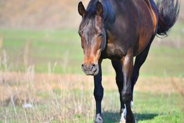 Similar image 21034309