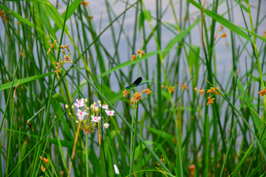 Similar image 21034319