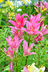 Similar image 21034320