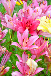 Similar image 21034323