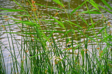 Similar image 21034334