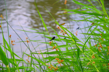 Similar image 21034335