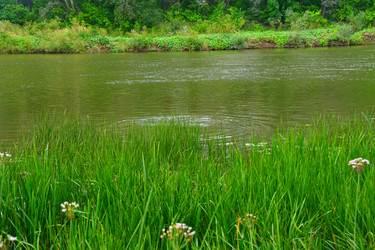 Similar image 21034337