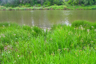 Similar image 21034338