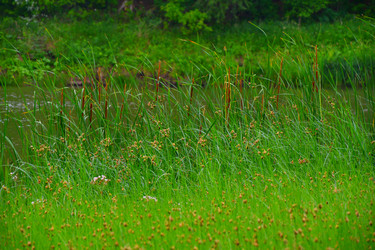 Similar image 21034339