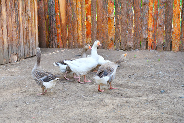 Similar image 21034344