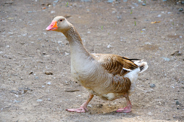 Similar image 21034345