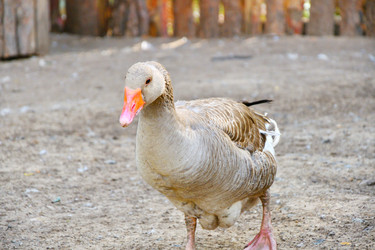 Similar image 21034346