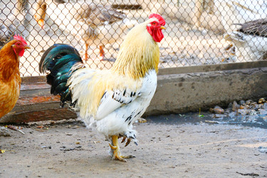 Similar image 21034347