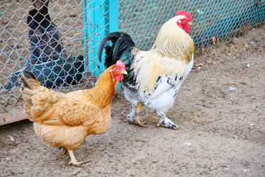 Similar image 21034348