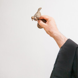 Similar image 21025751