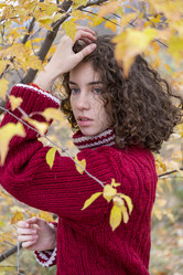 Similar image 21021527