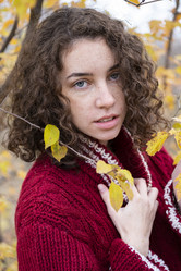 Similar image 21021539