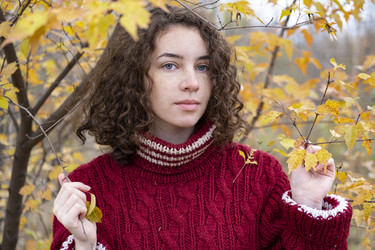 Similar image 21021545