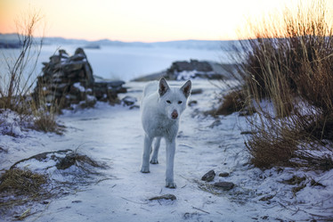 Similar image 21060103