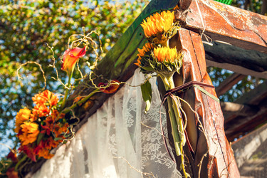 Similar image 21025769