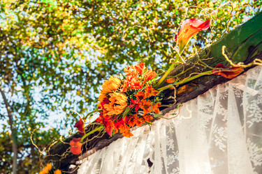 Similar image 21025771