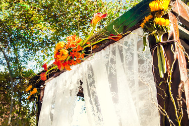 Similar image 21025774