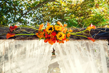 Similar image 21025776