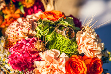 Similar image 21025798