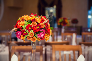 Similar image 21026779