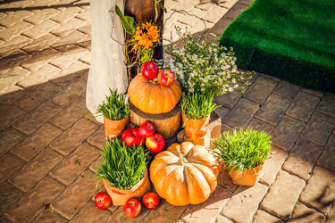 Similar image 21026859