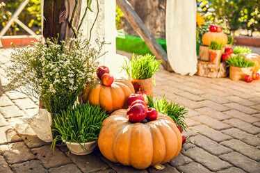 Similar image 21026864