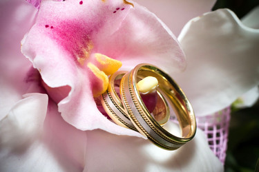 Similar image 21025623