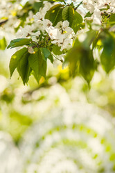 Similar image 21025642