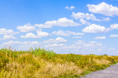 Similar image 21021778