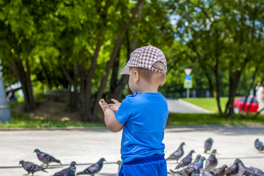 Similar image 21022504