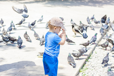 Similar image 21021808