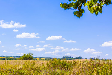 Similar image 21021809